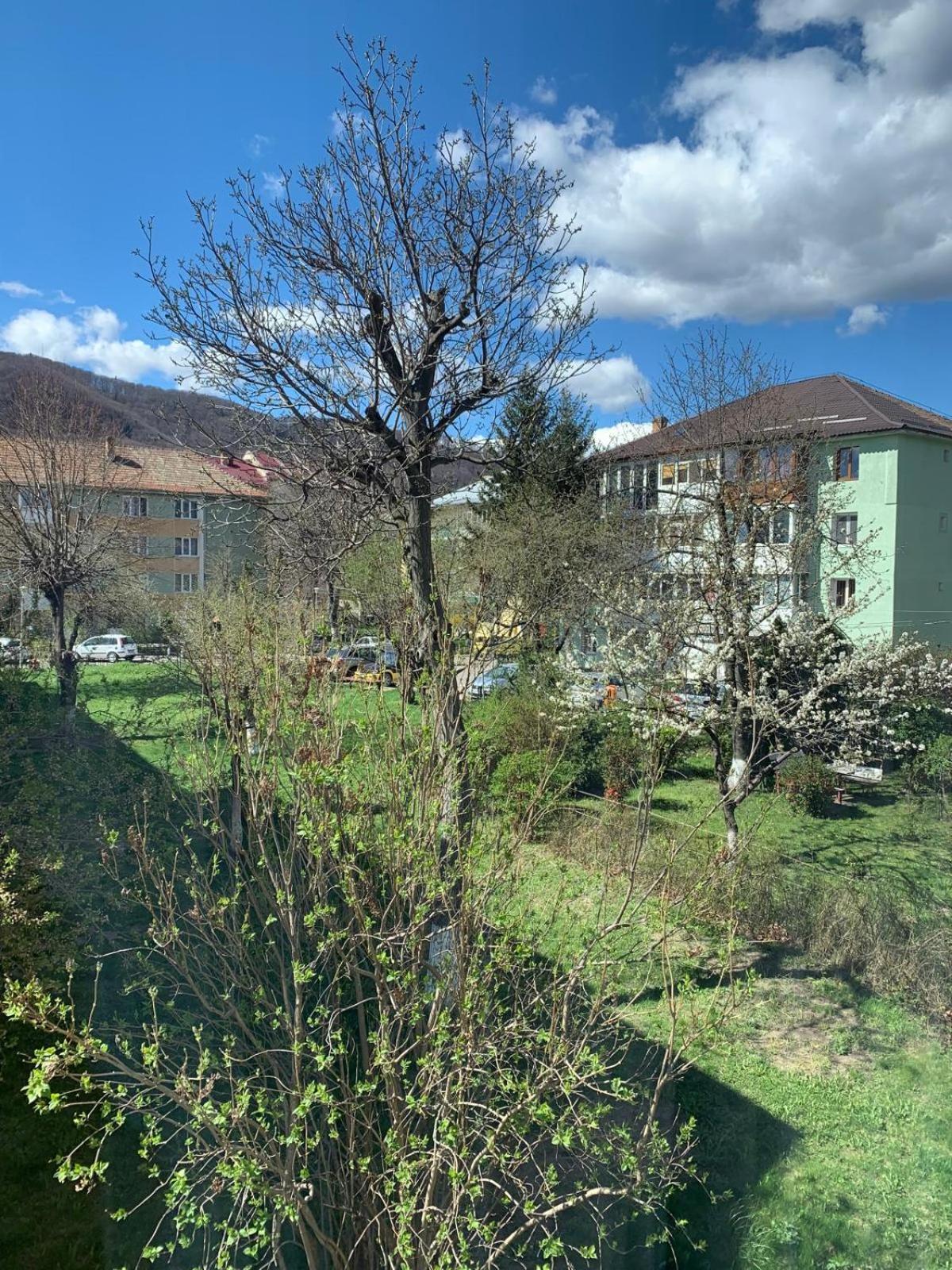 Rose Apartment Piatra Neamt Exterior photo